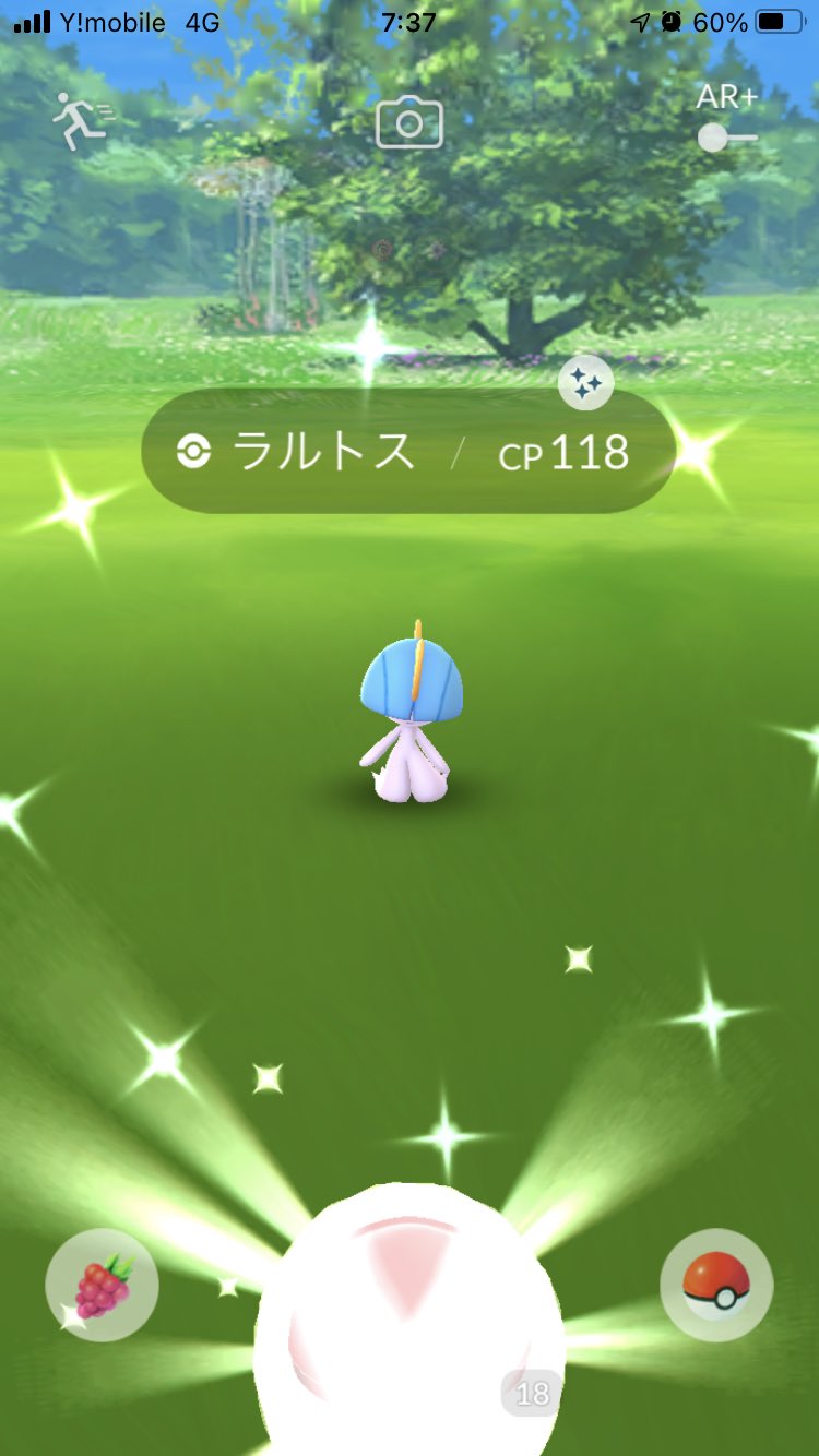 ラルトス色違い Twitter Search Twitter