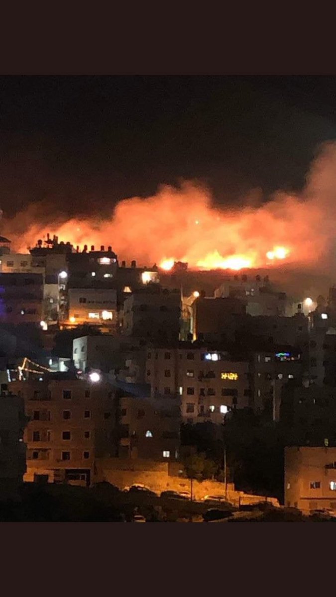 gözler önünde masum insanlar bir soykırıma kurban oluyor, canice! gözler önünde! tüm dünyanın gözleri önünde!

 #GenocideinGaza 
#GazaUnderAttack
#GAZZEDESOYKIRIM 
#gazzedesoykirimvar