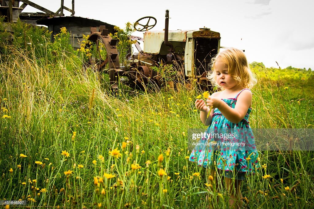 GrandmaGibby1's tweet photo. " Look for beauty in simple moments . "
   From the book " Lessons for a Spiritual Warrior "
   By Gary Hansel @gary_hensel https://t.co/5jgqikbOfv