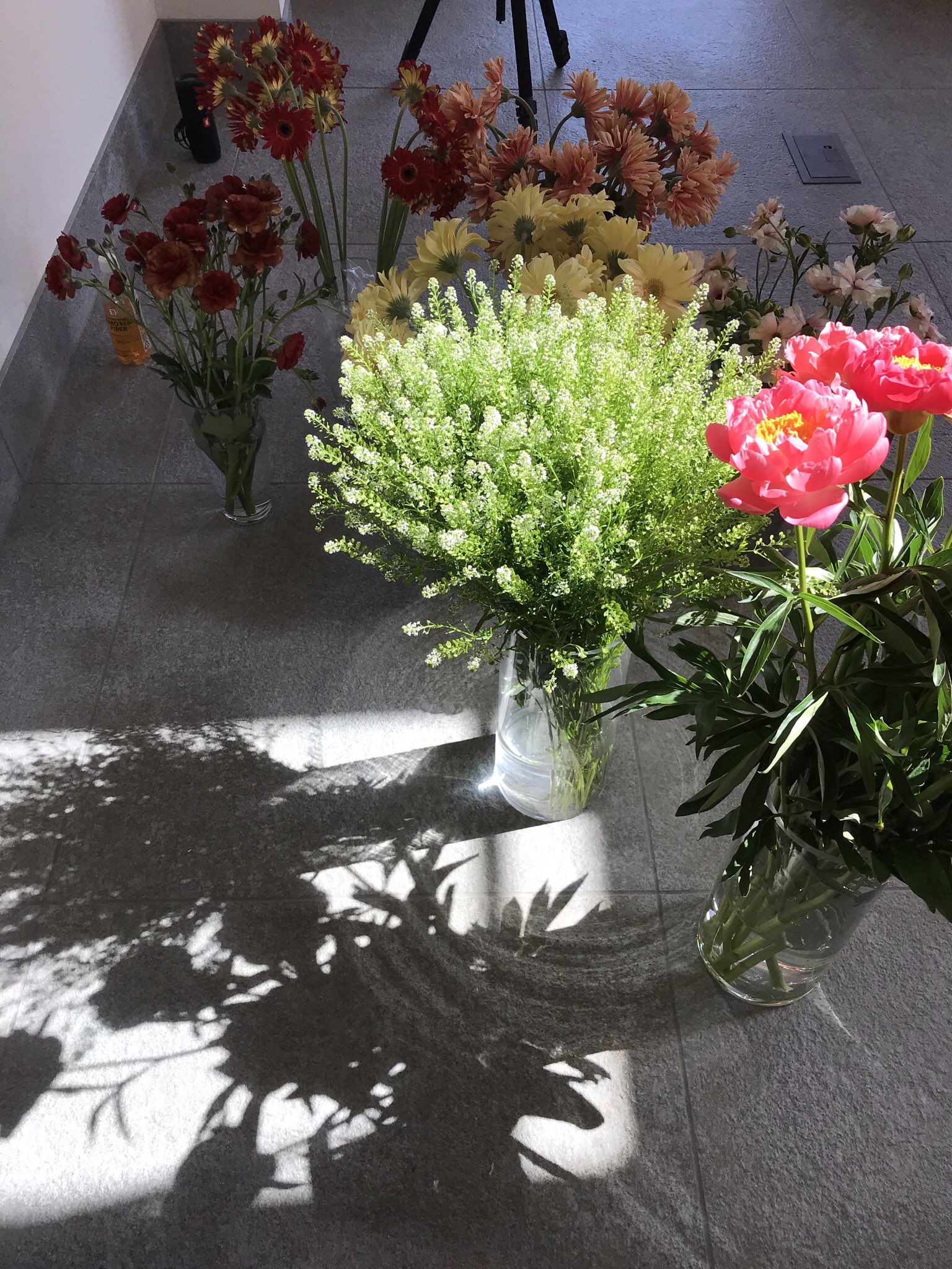東伏見 Hana Toyo 昨日の続報です 花豊の離れ または別館 新店舗 花令 366日 皆様に愛されるお店になりますように 令和3年6月6日にオープンします 駅から少々ハナレていますが お散歩がてら遊びにきてください お花のある生活を日常的に