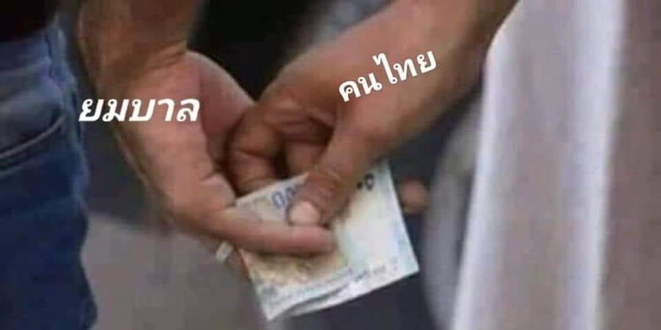 หลวงแจ tweet media