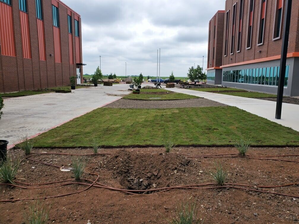 HippoHardhat's tweet photo. The sod it making the NGC look even better. @PflugerArch @sledgebiz @huttohippo https://t.co/WlYMRwEG9V