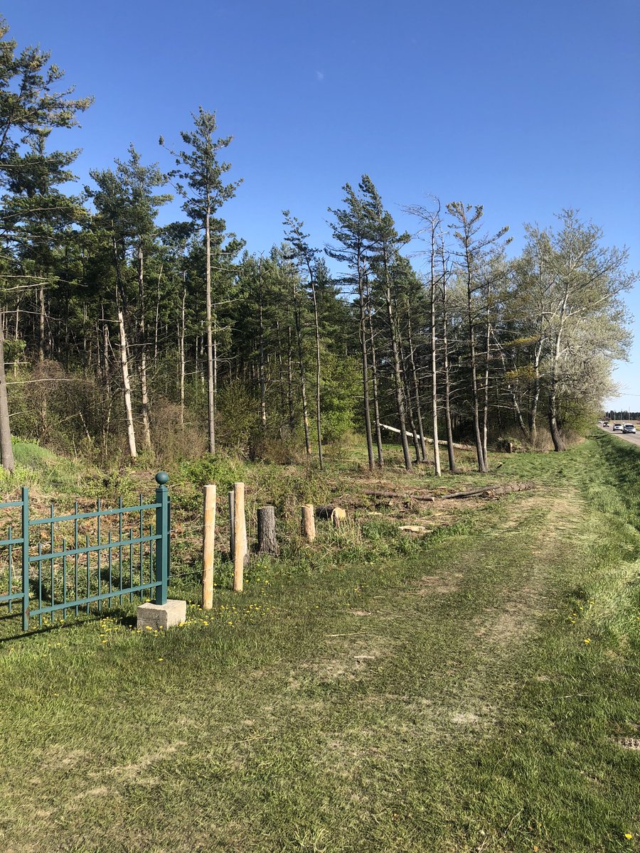 ryanarthur21's tweet image. Today&apos;s #shutdownprojects consisted of firing up the irrigation, checking heads with the GM, another #burnpile and cutting more brush #greenandclean @CobbleHillsGolf