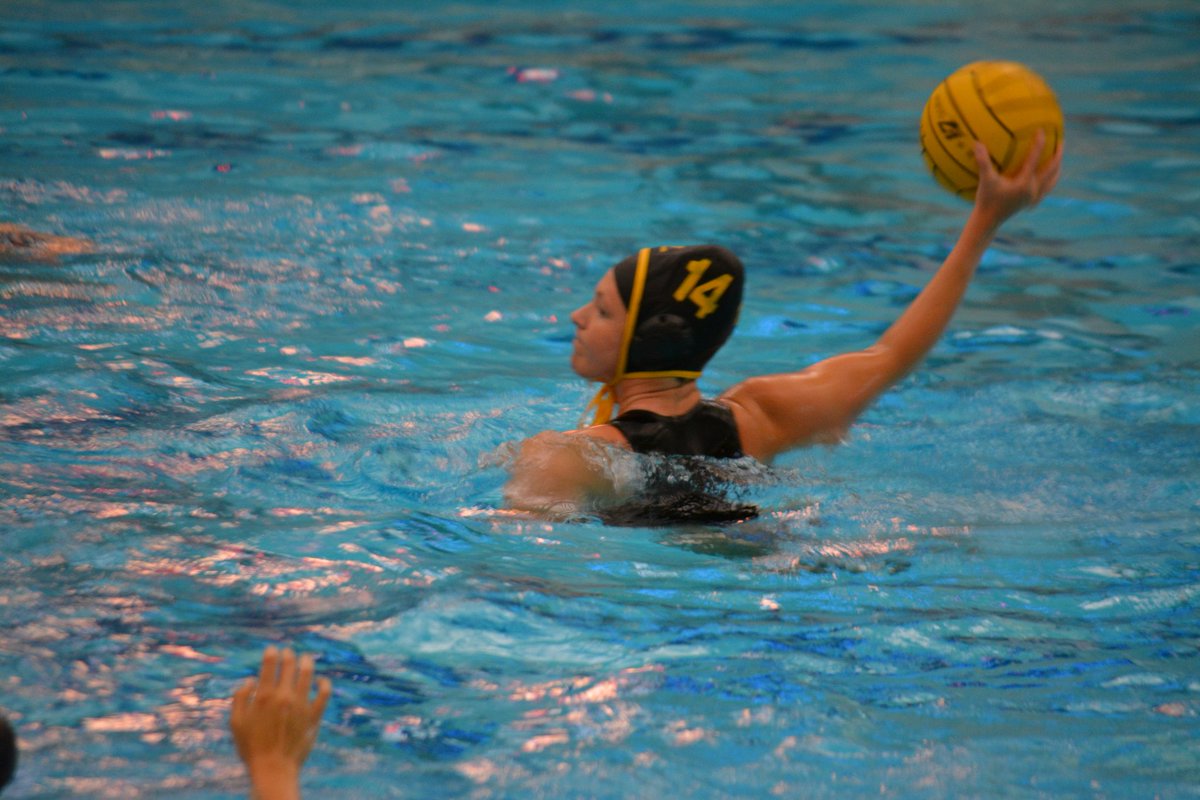 Zeeland Water Polo tweet media