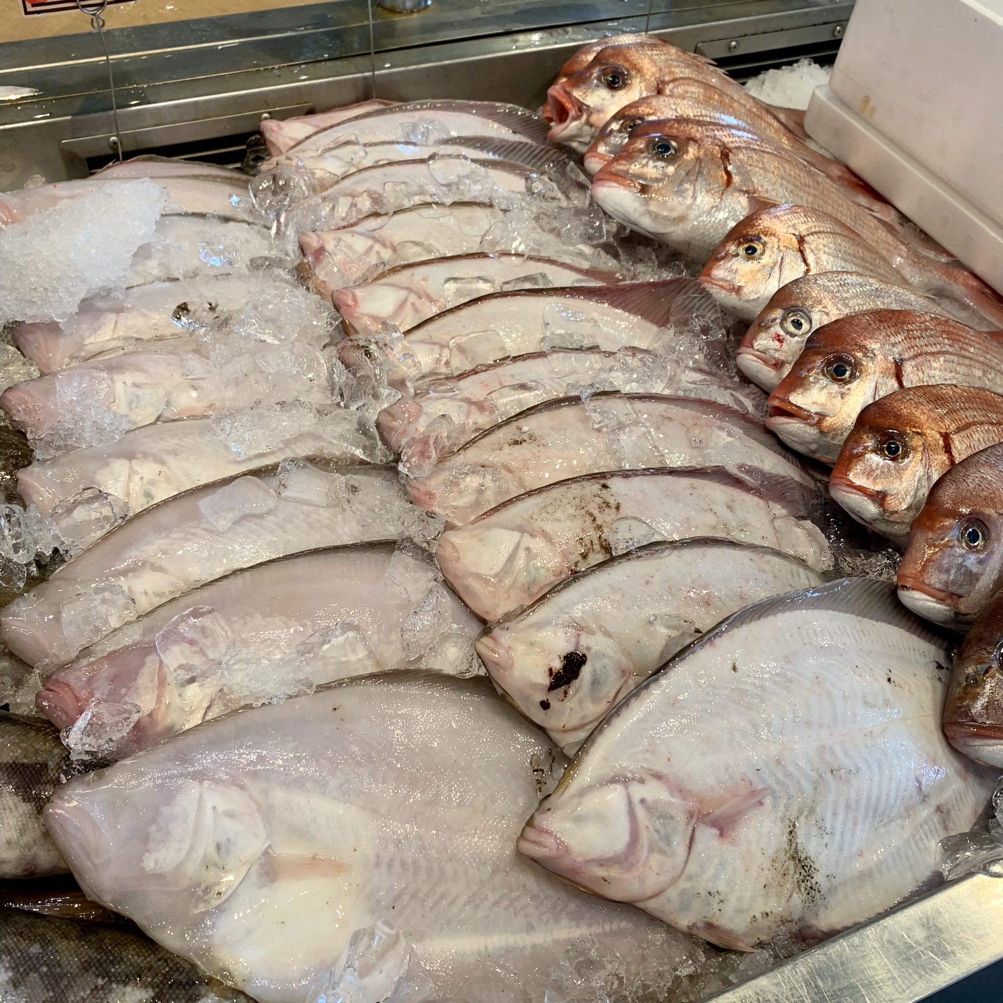 大川魚店 福島県いわき市 Ar Twitter 5 14 本日も いわきの地魚豊富に入荷しております いわき産本まこがれい 花鯛 ヤリイカ ひらめ あいなめなどなど 相場が安くなりましたので 地魚全品お買得価格です 本日も大川魚店をよろしくお願いいたします 大川魚店