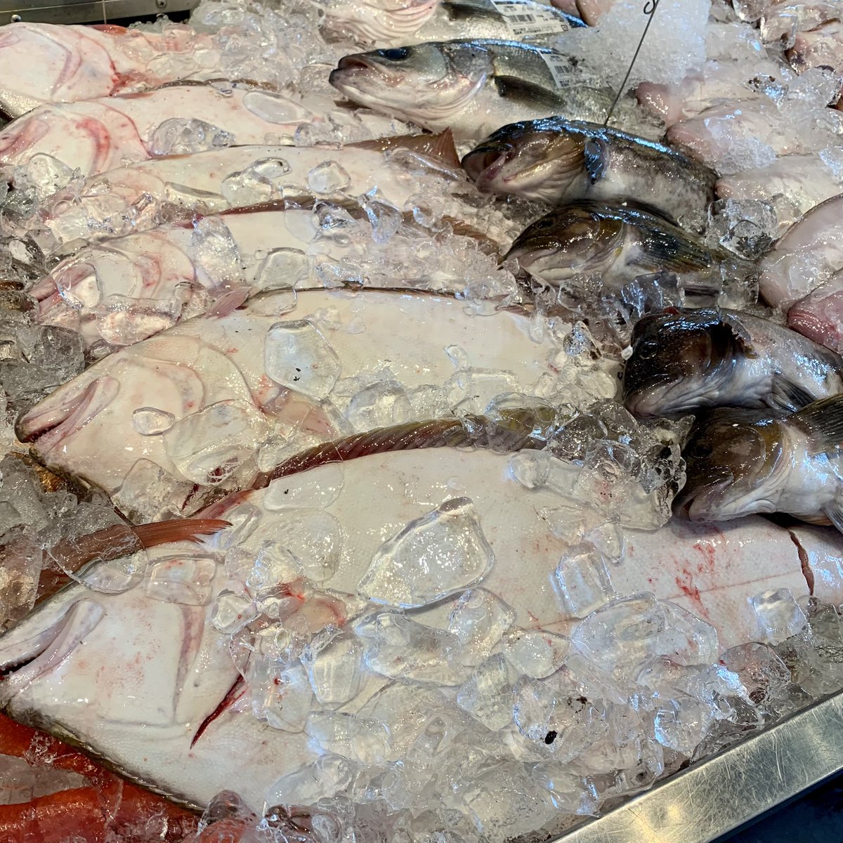 大川魚店 5 14 本日も いわきの地魚豊富に入荷しております いわき産本まこがれい 花鯛 ヤリイカ ひらめ あいなめなどなど 相場が安くなりましたので 地魚全品お買得価格です 本日も大川魚店をよろしくお願いいたします 大川魚店 大川魚店泉店