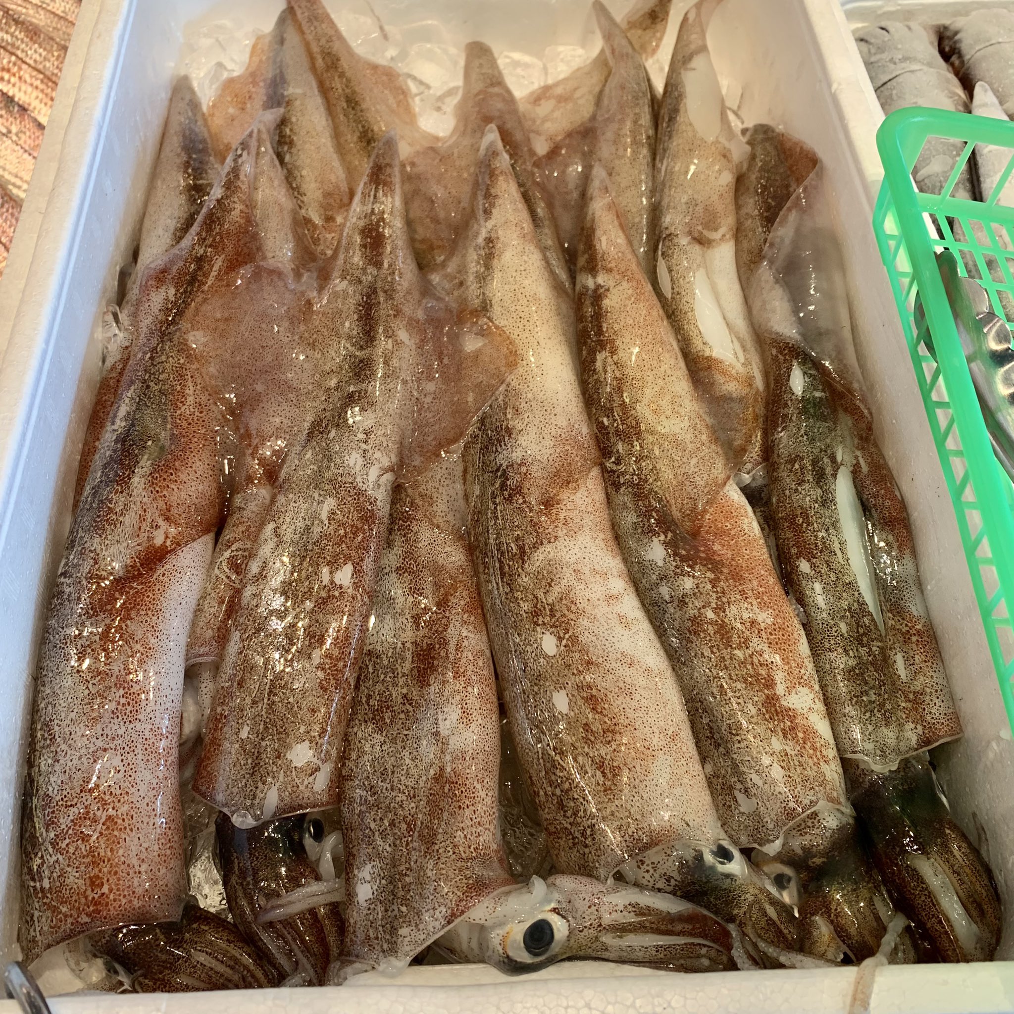 大川魚店 5 14 本日も いわきの地魚豊富に入荷しております いわき産本まこがれい 花鯛 ヤリイカ ひらめ あいなめなどなど 相場が安くなりましたので 地魚全品お買得価格です 本日も大川魚店をよろしくお願いいたします 大川魚店 大川魚店泉店