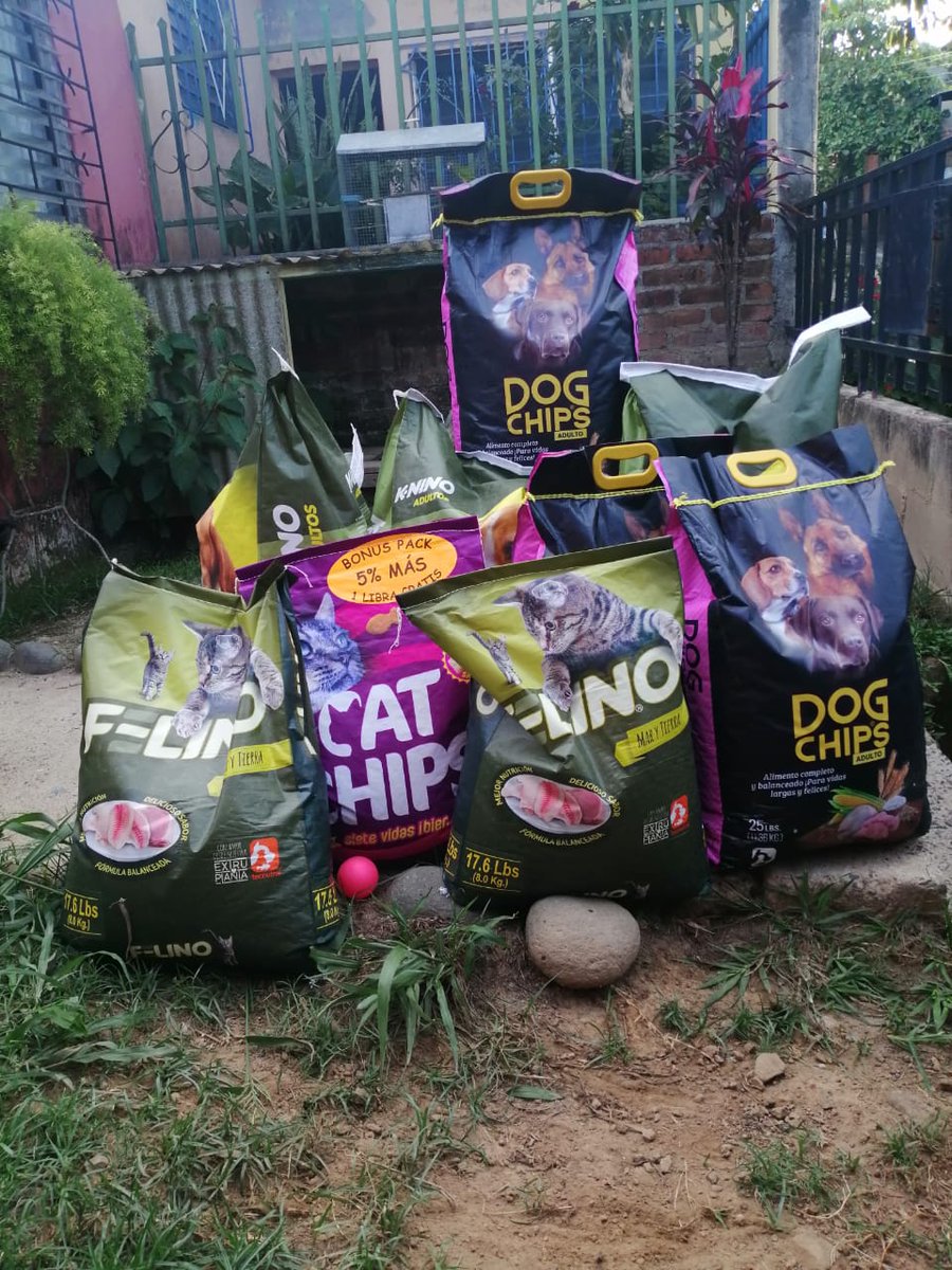 PEsperanza503's tweet photo. #Tecnutral siempre comprometidos con las causas sociales, este día nos donó comida para nuestros perritos y gatitos que ayúdamos y se encuentran en hogar temporal.🐶🐱 https://t.co/VsZWYmJ5xd