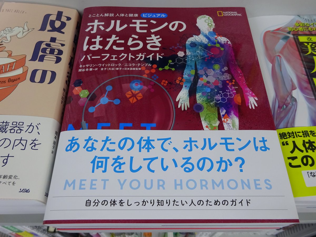 みんなの「キャサリン ホルモン」 口コミ・評判|食べたいランチ・夜ごはんがきっと見つかる、ナウティスイーツ みんなの「キャサリン ホルモン」 口コミ・評判|食べたいランチ・夜ごはんがきっと見つかる、ナウティスイーツ
