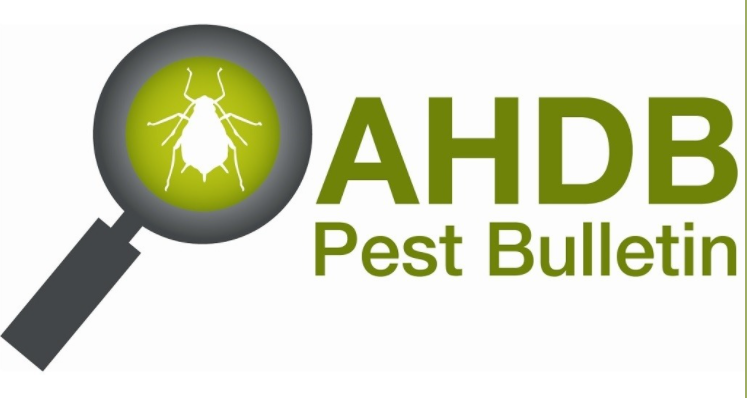 Syngenta UK (@syngentauk) on Twitter photo 🦗 The #AHDBPestBulletin weekly reports have been updated on our website.
🔎Find out more: ow.ly/ISge50ELSG2
<a href="/Warwickpestnews/">Rosemary Collier</a> <a href="/AHDB_Hort/">AHDB Horticulture</a> 🦗 The #AHDBPestBulletin weekly reports have been updated on our website.
🔎Find out more: ow.ly/ISge50ELSG2
<a href="/Warwickpestnews/">Rosemary Collier</a> <a href="/AHDB_Hort/">AHDB Horticulture</a>