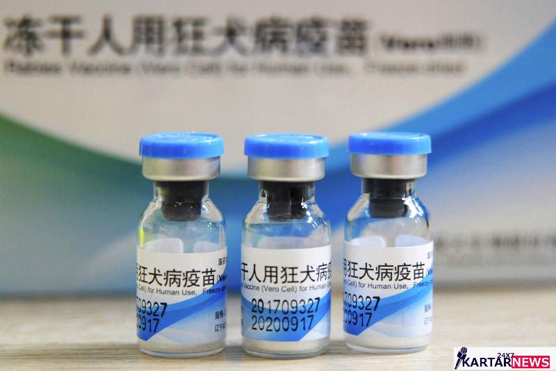 Вакцины японии. Китайская вакцина. Китайская вакцина от коронавируса. Японские вакцины. Вакцина Rabies vaccine for Human.