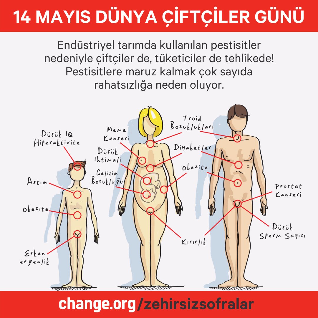 ChangeTR's tweet image. Bugün #DünyaÇiftçilerGünü 

Adana&apos;da yapılan bir araştırmada çiftçilerin %94&apos;ünün kanında ve tamamının saçlarında en az 1 pestisit bulundu.

@zehirsiz_ag pestisitlerin yasaklanması için kampanyasını sürdürüyor.

Destek olmak için imzala, paylaş:
👉Change.org/ZehirsizSofral…