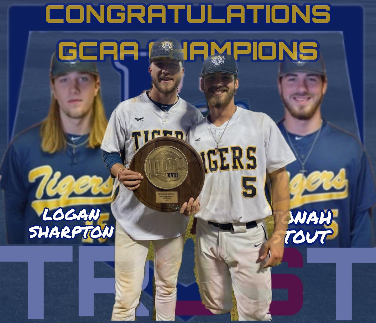 Way to go <a href="/AndrewTigersBSB/">Andrew College Baseball</a>!!!