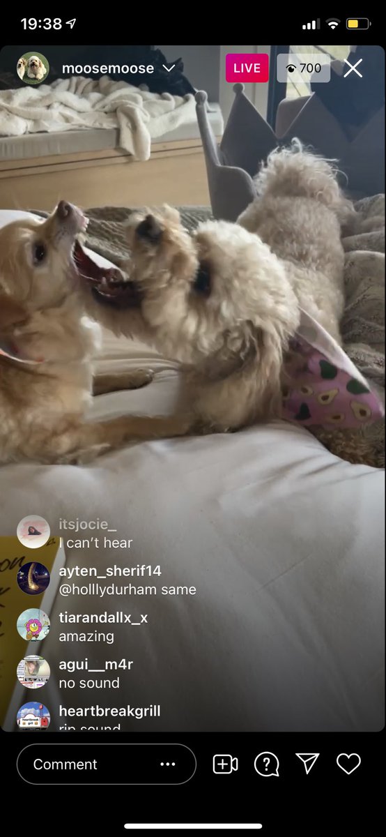 KatHorwin's tweet photo. That southy vs moose fight was the most dramatic fight ever😂😂 https://t.co/I1lpEXEtMZ