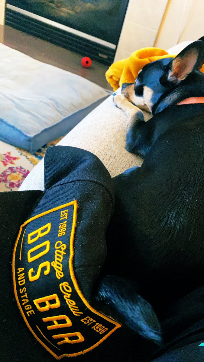 She doesn’t care that there’s a whole bed on the floor. She insists on being right beside me and always half on something 🤣 <a href="/BosBarRD/">BOS BAR AND STAGE</a> #taco #chihuahua #dogsoftwitter