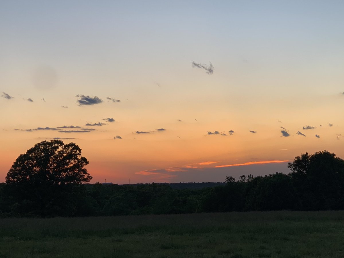 RareCamellia's tweet photo. Even when the sun is hiding... “It is almost impossible to watch a sunset and not dream.”
- Bernard Williams
#MissouriSunset #FortheBeautyoftheEarth https://t.co/6WunhxUHAH