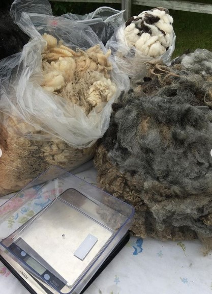 Did you miss us on Mother's Day Weekend this year?
We will be back in 2022! Save the date.