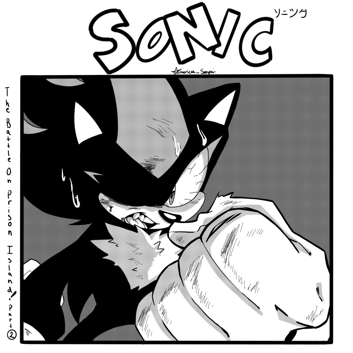 The Adventure Saga

#SonicTheHedgehog
#Sonic 