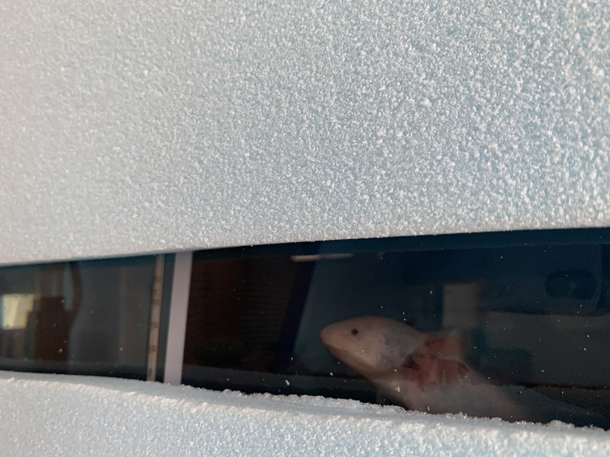 とぉこ Too5904 Twitter