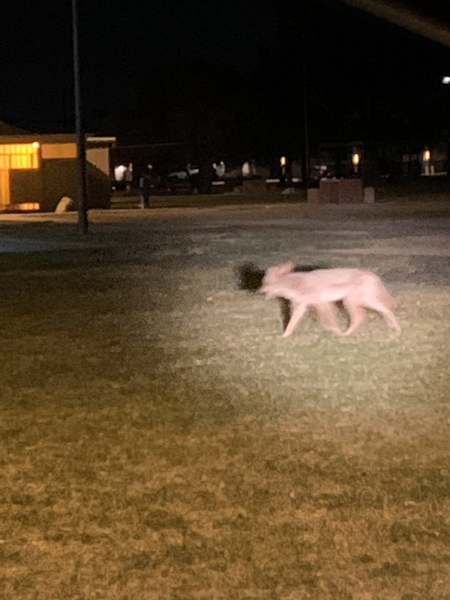 TPD Park Safety/HOT tweet media