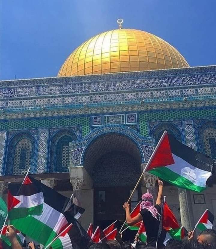 derradjihafid's tweet photo. لا يوجد أقبح من بعض الحكام العرب والجبناء ممن يحسبون على الساسة الذين صفقوا للتطبيع ويسكتون اليوم عن جرائم الاحتلال بعدما صاروا يحملون في جوفهم قلبا صهيونيا لا يخجل، ويعتقدون بأن مصيرهم مرتبط بوجود إسرائيل وحليفتها أمريكا. 
اللهم اخذل من خذل شعبنا وقدسنا، وانصر أهلنا يارب.. https://t.co/DFakOGzK7i