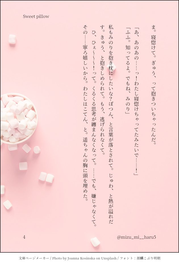 みのはる100ラリー シイナ ひろせ編 Min T ミント みのはる100ラリー シイナ ひろせ編 Min T ミント