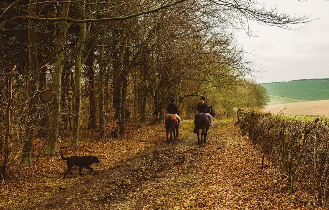 Our gorgeous Friston Forest 
#forest #trees #nature #photography