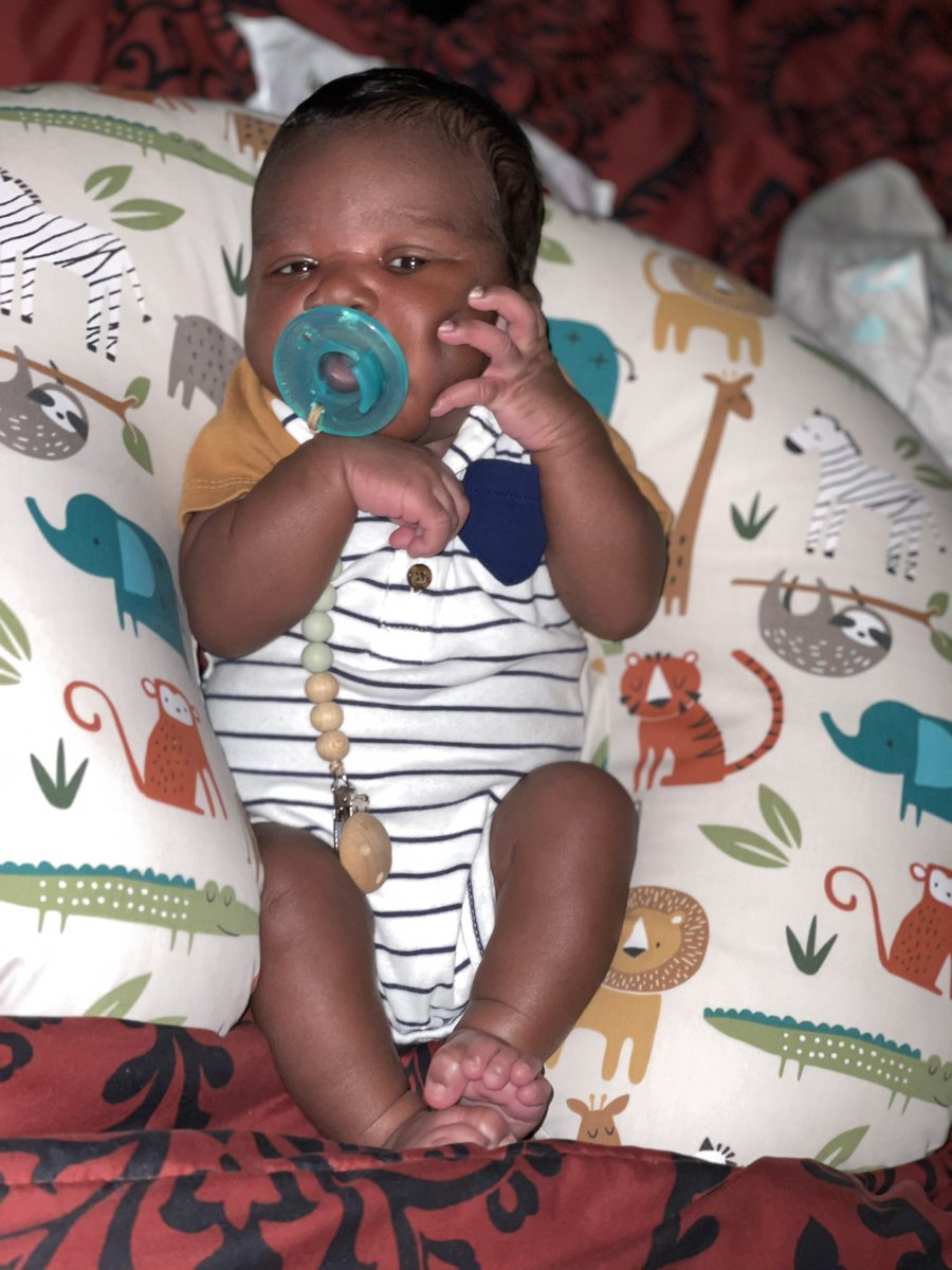 DaisyJHall's tweet photo. He has to be the most unbothered baby EVER!  Here’s the newest member of LA BEST💙💙💙 @MagentaVikinger https://t.co/wWC6c5CJEp