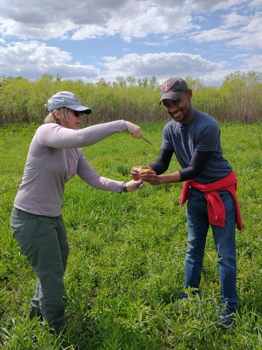 Enjoyed the most beautiful day of soil sampling at <a href="/Nachusa/">Nachusa Grasslands</a> today, complete with amazing (and safe) views of bison and their adorable galloping calves. 🥰