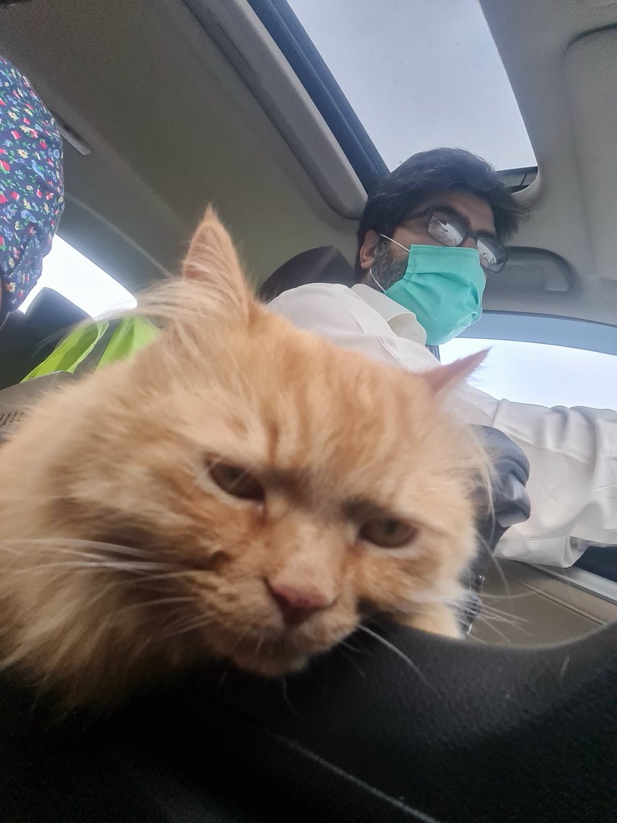 betheenablerpk's tweet photo. How is my #selfie?🤳 😼
#MrMac #catchoncamera
#lovingit https://t.co/myvffJBdQG