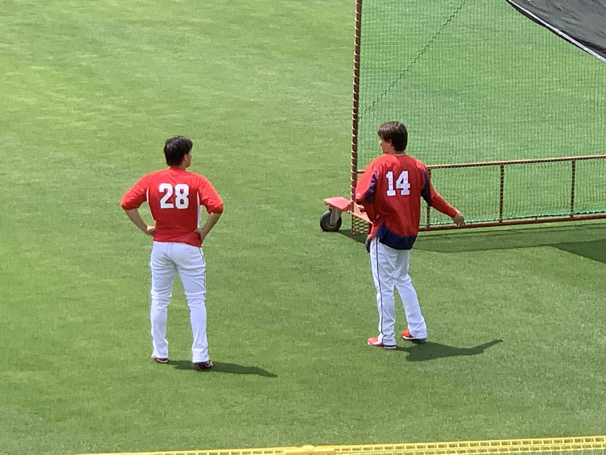 日刊スポーツ 広島担当 マツダスタジアムにチームの大黒柱が帰ってきました 稜 大瀬良大地 広島東洋カープ Carp カープ T Co Zgwinmjwlc Twitter
