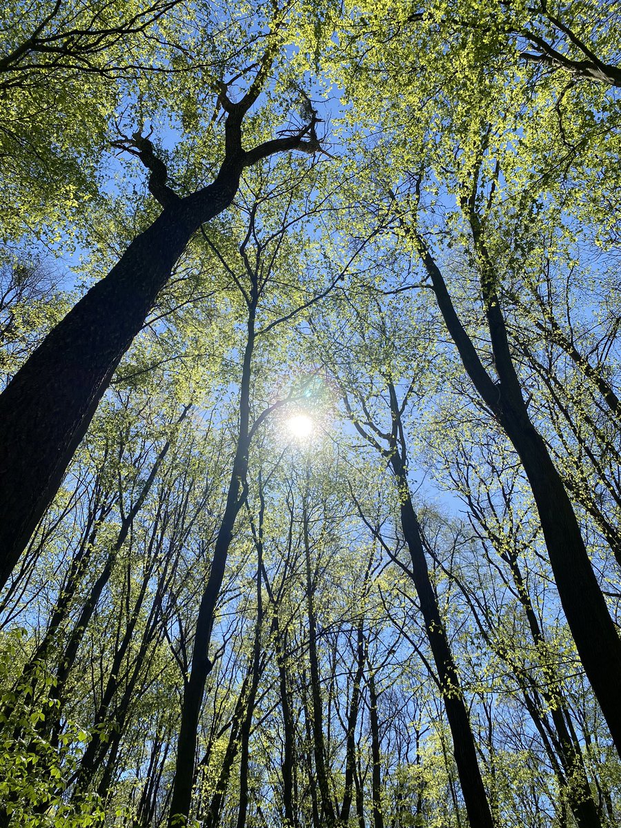 JuliaLucka's tweet image. Breathe and allow yourself to be happy 💛 You deserve HAPPINESS ❗️💛💛