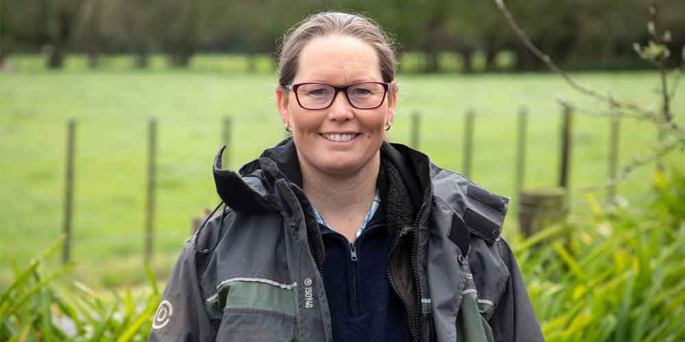 Damien O'Connor tweet media