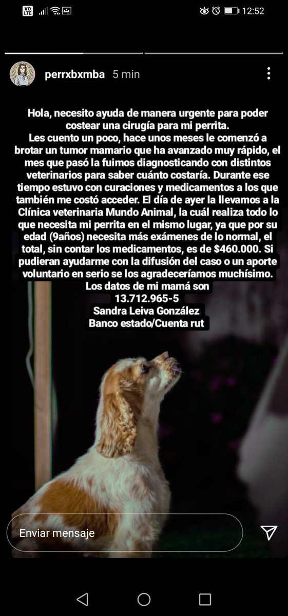 Tatysandy1's tweet photo. @losbuscamos_col amigos vengo acá a pedir su ayuda por favor estamos necesitando un granito de su ayuda urgente porfavor para poder salvar a nuestra perrita o ver si alguien conoce algun veterinario que nos pueda ayudar por favor😭 @AliceeProAnimal @AyudaAnimalPyG https://t.co/1xM8vk8B63