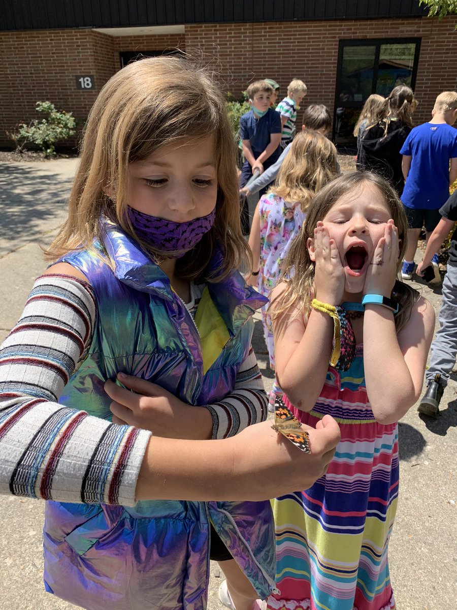 The butterflies are here!!!!