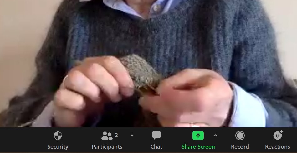 KnittingSOS's tweet photo. Can I teach lace knitting via zoom? Apparently so! Book in for a one to one online class: aneeta@knittingsos.co.uk #knittingsos #knittygritty https://t.co/LqOSfEulQu