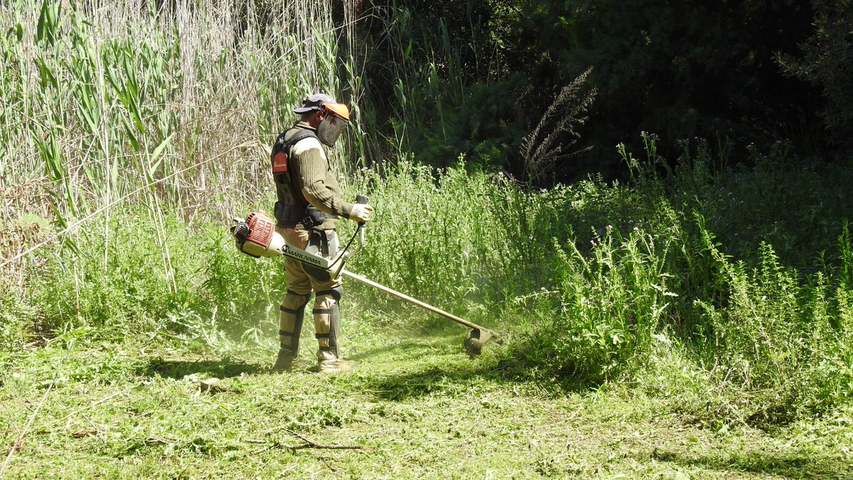 aigueselx's tweet photo. Queremos dar las gracias al personal 👷🏻 encargado del mantenimiento de @elclotdegalvany. Sin su dedicación y profesionalidad sería imposible mantener este paraje natural en las mejores condiciones para disfrutar de él. https://t.co/el2RF66MpD
