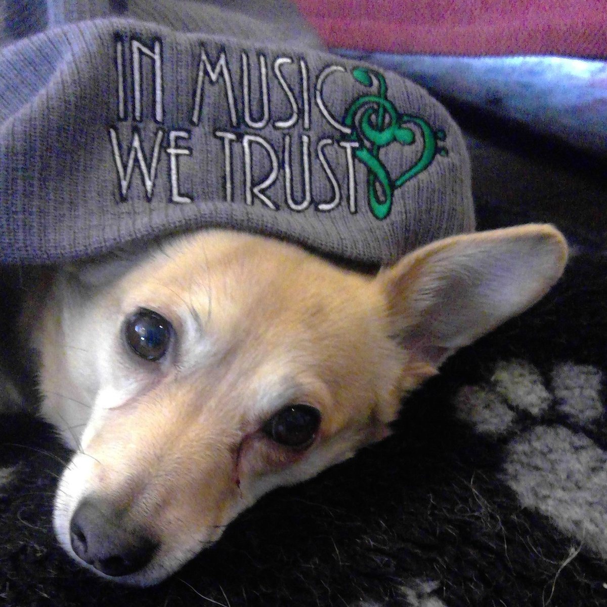 'Getting use to going out in the world on my own'...
these words struck my heart as Peter <a href="/EganMyra/">myra egan</a> spoke about his personal grief and working with <a href="/rickygervais/">Ricky Gervais</a>  <a href="/AfterLife/">afterlife</a>. We are never alone though, as our loved ones remain with us forever. Please keep campaigning. <a href="/PeterEgan6/">Peter Egan</a>