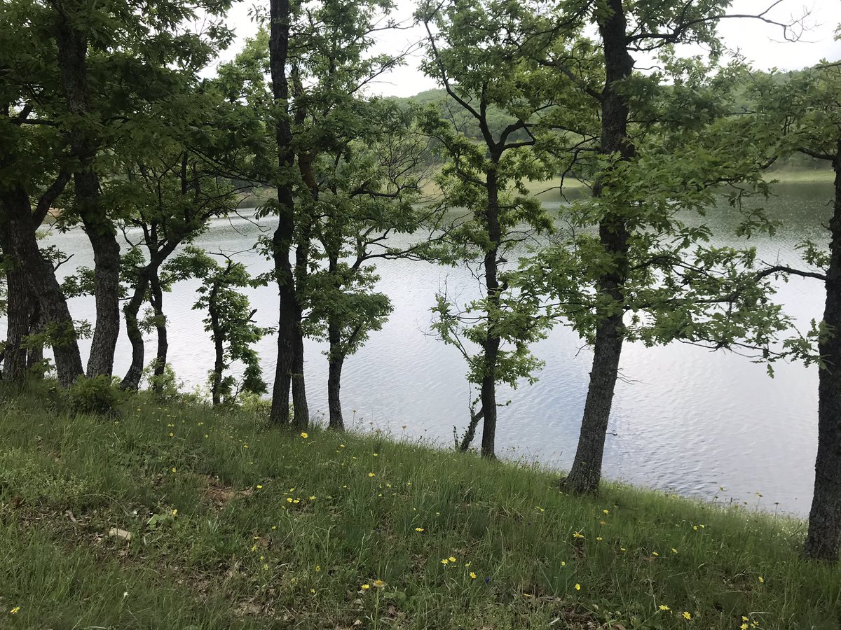 Cennet mekan memleket