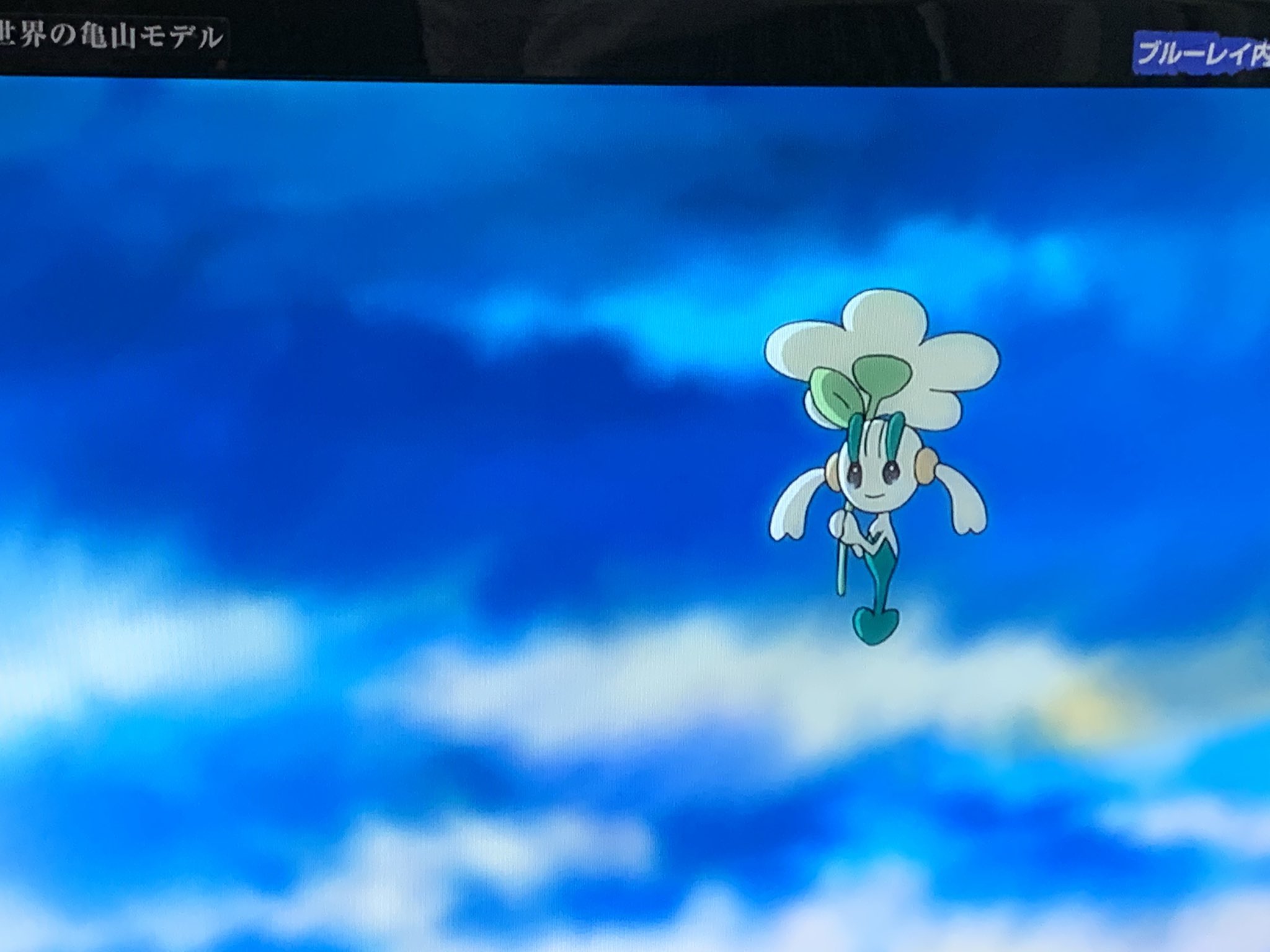 ふなきっち ポケカ大好き リモート誰かしよ 白いフラベベも珍しいけど一番珍しいのはazのフラエッテだと思う これだけみたことないやん 色違いのフラエッテなのかな Azは アニポケ Anipoke T Co Gyxxfcndxk Twitter