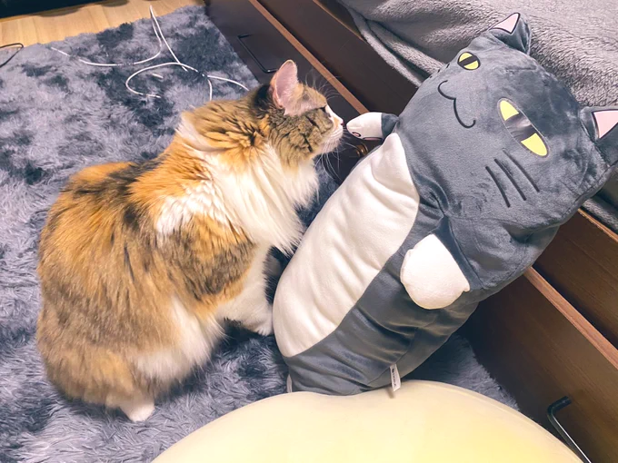 コンニチハ… 