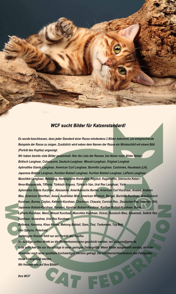 WCF - World Cat Federation e.V. tweet media