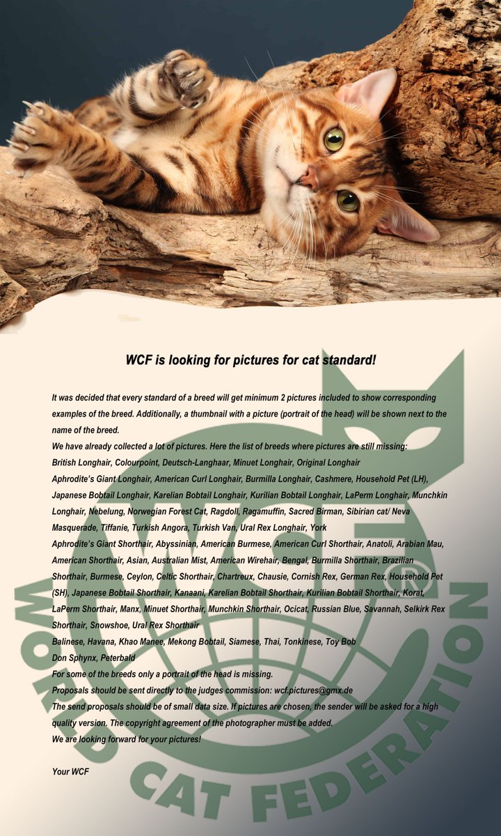 WCF World Cat Federation e.V. (wcf_ev) Twitter