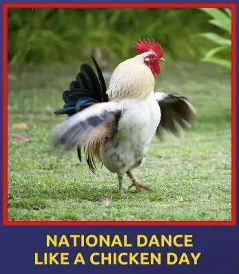mishenka_vodoo's tweet photo. Today is the Chicken Danse Day 🐔 🐓 🎉🎊🎼🎺🕺🏼💃#JensTeam #chickendanceday #dance #chiken #LetsDance @jenniferH0T @RedBlood75 @unidsexyy @dolcekiara1 @DeniseDenise__ https://t.co/wLkmB0fegs