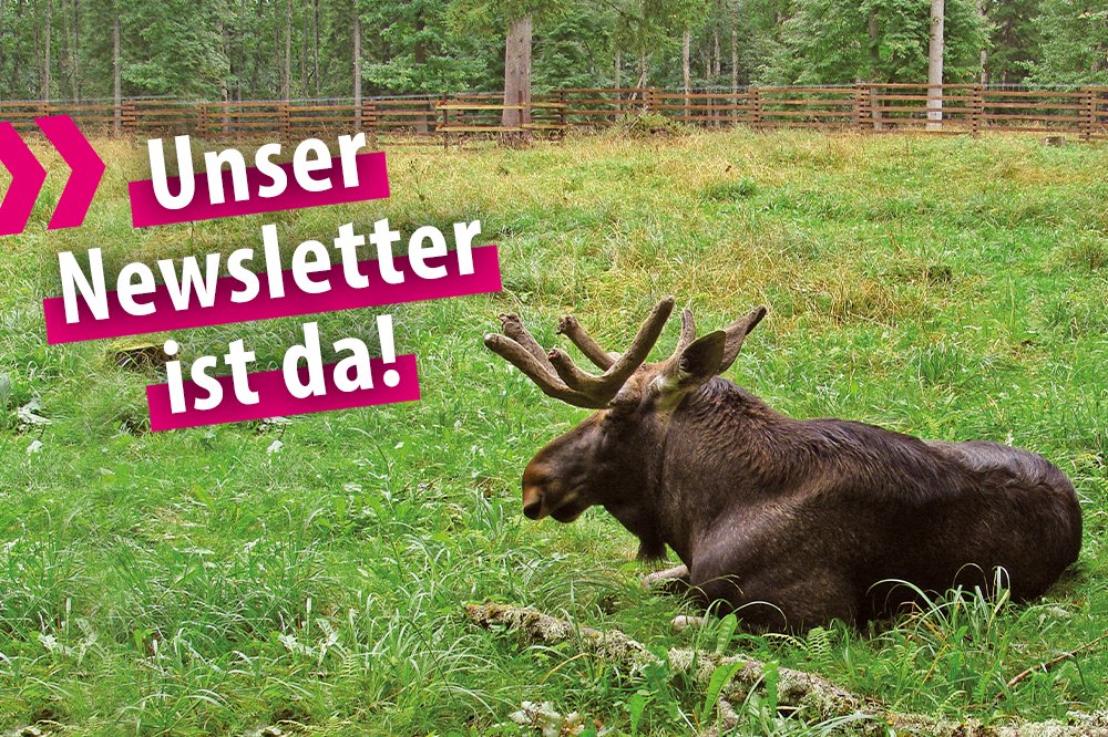 Reise Know-How tweet media