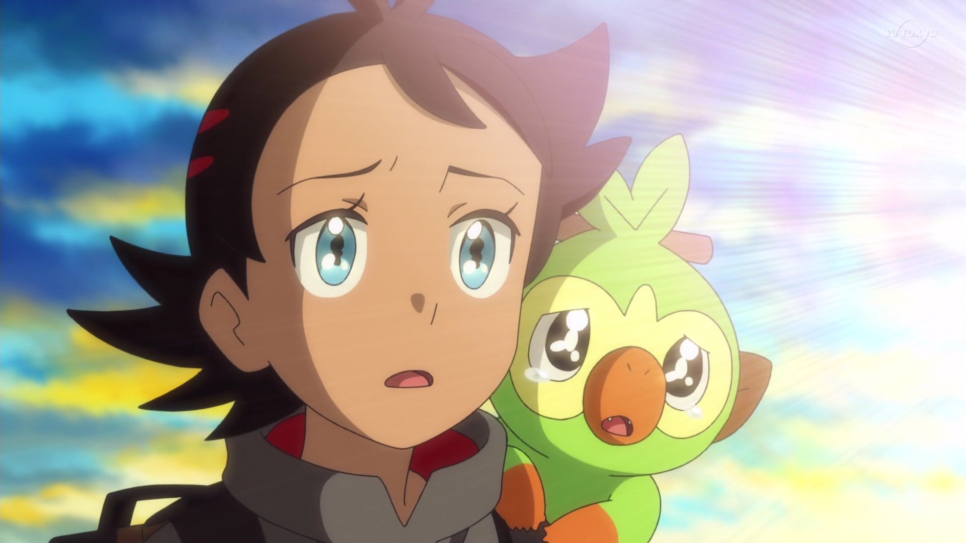 Pokelover Z XYBW STAN Official Pokelover Z on Twitter