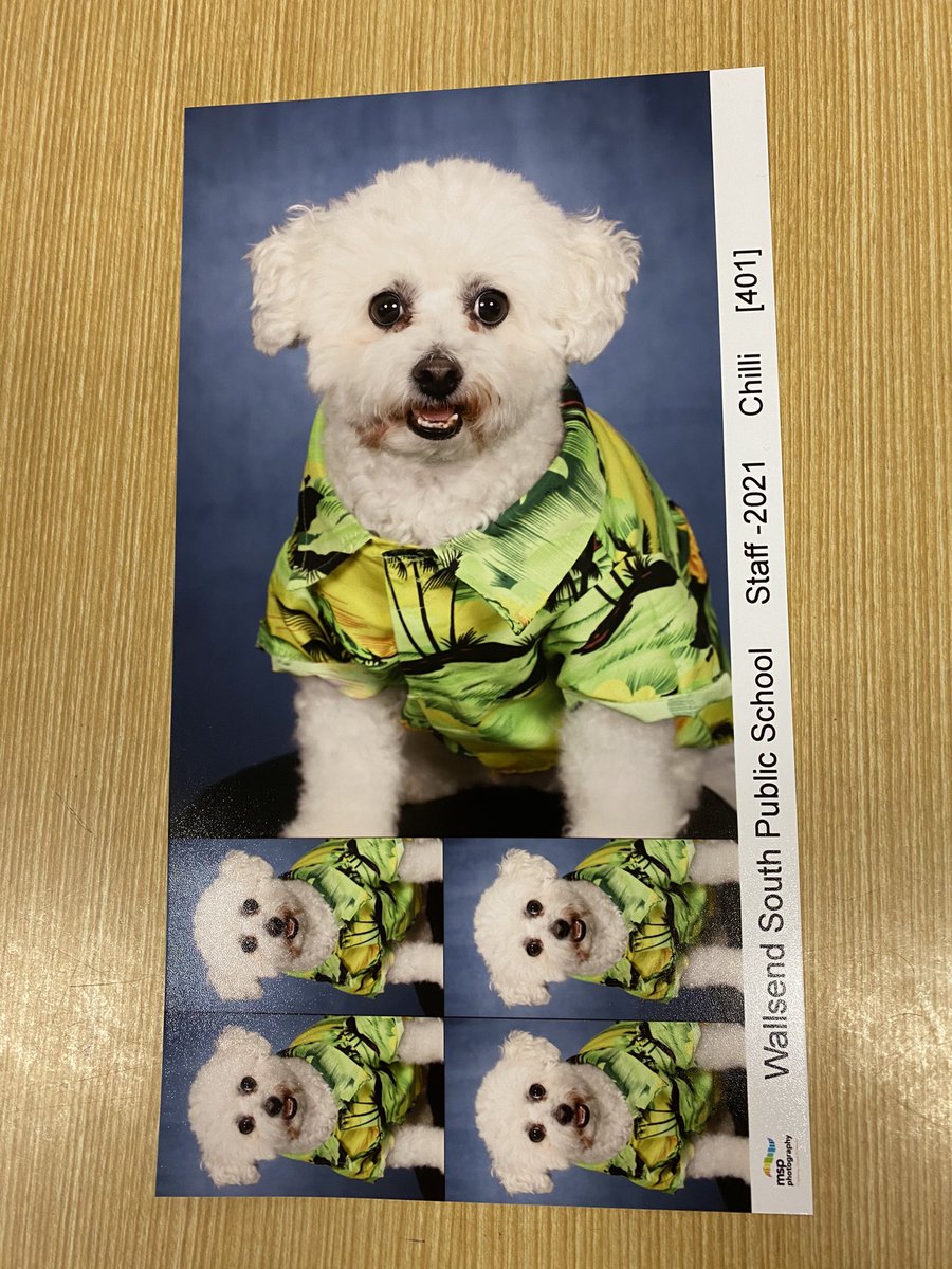 Our Chilli’s first staff photo. Our whole community is in love!