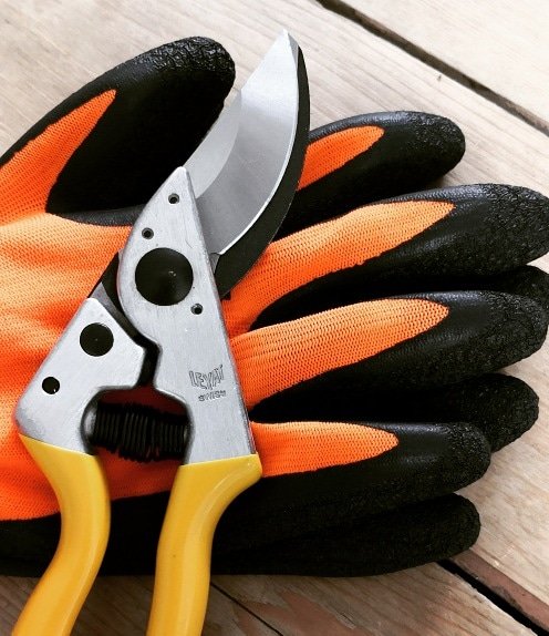 CEuk_intl's tweet image. Experience something new - experience Leyat pruning tools.

#leyat #pocketeurs #secateurs #loppers #pruning #tools #gardening #horticulture #viticulture #orchard #arb #forestry #woodlands
