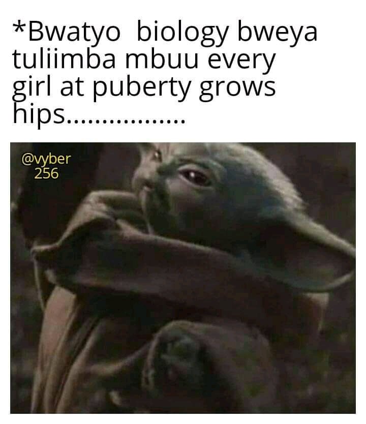 FlashNash6's tweet image. . Mubutufu