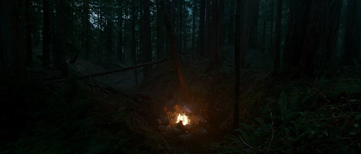 THE REVENANT (2015)
Cinematographer: Emmanuel Lubezki
Aspect Ratio: 2.39:1
Director: Alejandro G. Iñárritu